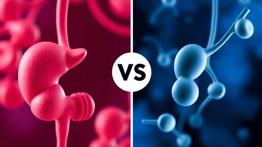 Diabetes Mellitus vs Diabetes Insipidus