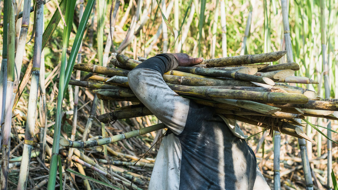 Is Sugarcane Juice Safe for Diabetics